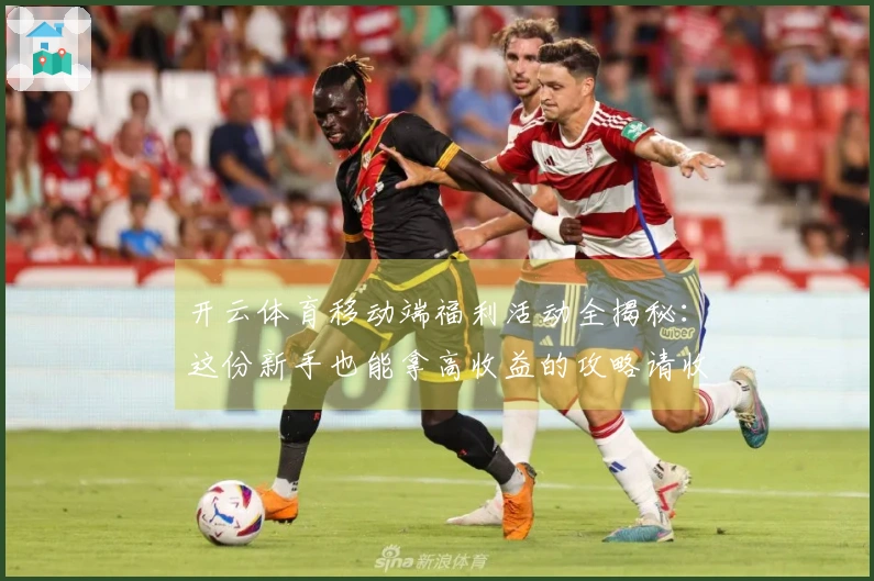 开云体育移动端福利活动全揭秘：这份新手也能拿高收益的攻略请收好