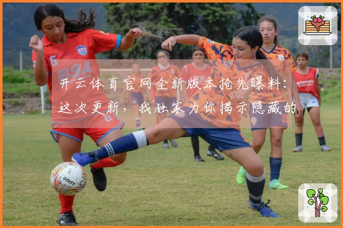 开云体育官网全新版本抢先曝料：这次更新，我独家为你揭示隐藏的收益与全新玩法！