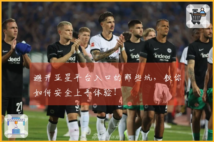 避开亚星平台入口的那些坑，教你如何安全上手体验！
